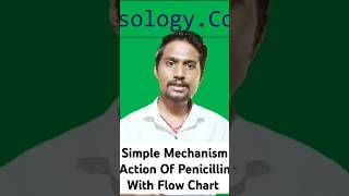 Mechanism Action Of Beta Lactam Antibiotics In pharmocolog For Bsc Nursing 4th Semester nursing [upl. by Ettenwad]