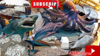 WORLD 🌍 BIGGEST FISHING PORT IN ASIA  Ilish Tuna PrawnsShark 🦈 crabs 🦀 🦑🐙 Octopus all fish [upl. by Hacissej]