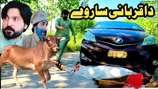 Da Qurbani Sarway Islahi Video By PK Plus Vines 2024  pk plus [upl. by Maxie]