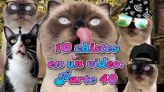 10 chistes en un video Parte 40 🤭😆🤣 [upl. by Nort]