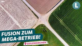 6 Landwirte teilen sich 800 Hektar 🤔 Neues Konzept Sharecropping  WDR Lokalzeit LandSchafft [upl. by Rorrys935]