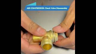 Air Compressor Service  Check Valve Repair [upl. by Eldnik729]