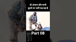 Part 8 dog amazingfacts factsinhindi doglover knowledge automobile facts tharvsfortuner [upl. by Clementis]