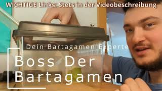 💥Boss Der Bartagamen  Wer hat den Größten🤭💥 [upl. by Irolam809]