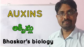 Auxins class 12 From Bhaskars biology [upl. by Eniamahs603]