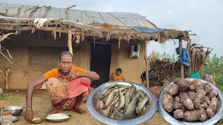 SNAKE FISH with TARO ROOT cooking in tribal method by grandma amp eating traditional tribal food [upl. by Inal]