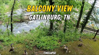 Hotel Balcony River View Timelapse  Greystone Lodge  Gatlinburg TN [upl. by Dabney]