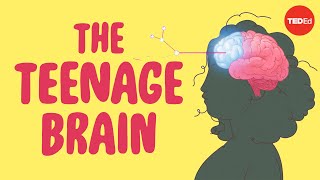 What sex ed doesn’t tell you about your brain  Shannon Odell [upl. by Anauqat207]