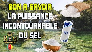 LIMPORTANCE DU SEL DANS LE COMBAT SPIRITUEL [upl. by Sivram532]