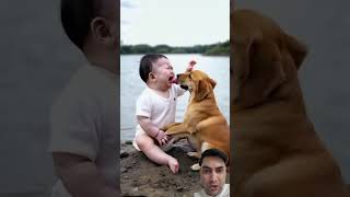 dog cute funny baby cutebaby [upl. by Infeld]