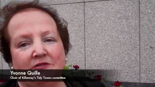 irishtimescom Tidy Towns 2011 [upl. by Robbin]