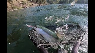 Kokanee Fishing in Okanogan Valley [upl. by Remus]