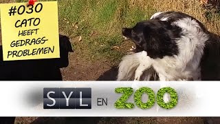 Probleemgedrag bij honden Angsthappen  Syl en ZOO  VLOG 030 [upl. by Woodall400]