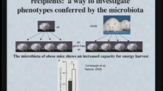 The World Within Us Microbes That Help and Harm [upl. by Tut]