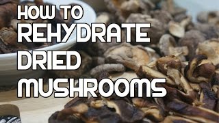 How to Rehydrate Dried Mushrooms  ReHydrating Reconstitute  Best Mushroom Recipes [upl. by Annaek490]