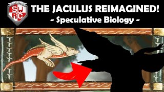 The Jaculus Reimagined Speculative Biology [upl. by Ocsicnarf]