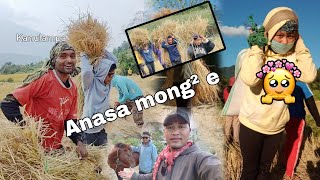 60km gamlha a Kajinu te Changvoh in kana che e 🤩🌾  Vlog  anasa vot e 😵 [upl. by Thirion]