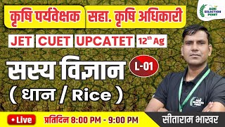 1  फसलोत्पादन  धान की फसल  Agri Supervisor  12th Ag  JET  CUET ASP Coaching Jaipur [upl. by Anilejna]