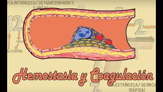 Hemostasia y coagulación [upl. by Eenahs]