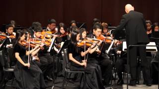 Drifen Atwell  Troy Freshman Orchestra MSBOA District Festival 3152014 [upl. by Acisej]