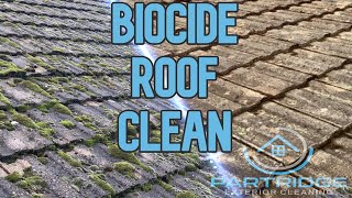 How To Use Biocide To Softwash A Roof  Partridge Exterior Cleaning [upl. by Kurman]