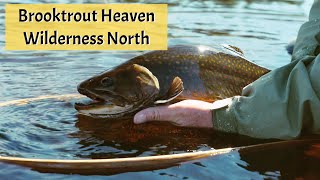 The Giant Brooktrout of Northern Ontario [upl. by Bogosian]