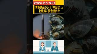 ｢青森産シジミ｣実は北朝鮮産だった 独自ネットワークで資金流出か [upl. by Riggins538]