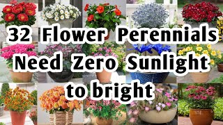 32 Flower Perennials for Garden  Shade Loving Perennial flowers for Backyard  Plant and Planting [upl. by Deryl31]