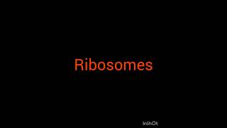 Ribosome [upl. by Waldon23]