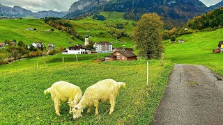 Switzerland countryside  Walking in the paradise  most beautiful places in Appenzellerland [upl. by Apfelstadt]