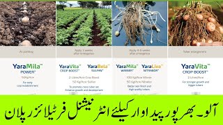 Boost Potato Yields with This Fertilizer Plan  Cyber Agri Extension  آلو۔ بھرپور فرٹیلائزر پلان [upl. by Thurston319]