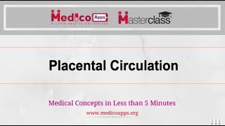 Live Class Placental Circulation by Dr Gunjan [upl. by Lewiss]