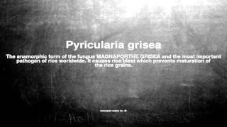 Medical vocabulary What does Pyricularia grisea mean [upl. by Clementius]