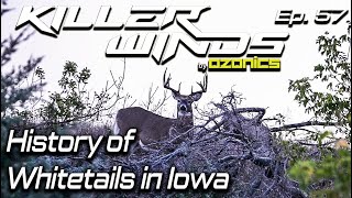 The History of Whitetails in Iowa  Killerwinds Podcast [upl. by Ludie]