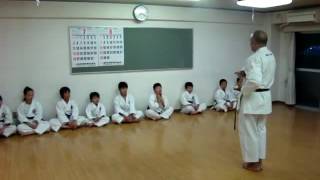 Niseishi Kata  Motobuha Shito Ryu  Kuniba Kai International [upl. by Phox670]