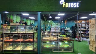 Forest Reptile and Tortoise Shop Thailand [upl. by Anelak]