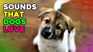 Sounds That Dogs Love To Hear The Most 🐕 Dog Sounds [upl. by Powder114]