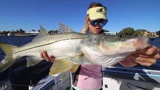 CATCH FISH the easy wayTrolling Inshore for Keeper Snook and MORE [upl. by Pergrim]