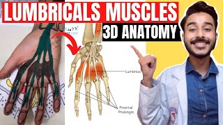 Anatomy of the Hand [upl. by Benzel]