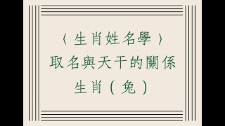 《翁子秀十神生肖姓名學》生肖屬兔 與出生天干體用相剋分析 取名  改名  名字鑑定  姓名教學 [upl. by Katlaps]