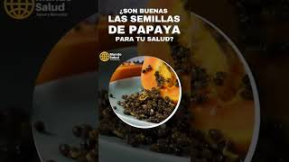 Estos son todos los beneficios de la semilla de papaya para tu Salud que Desconocias shorts [upl. by Baggott]