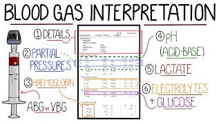 Blood Gas Interpretation Made Easy Learn How To Interpret Blood Gases In 11 Minutes [upl. by Ecnarret]