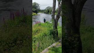 having a bit of lunch at the side of Cockermouth river x [upl. by Heddy]