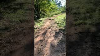 OneWheel Pint  Lagoon Park Creek Trail exit mixed surface [upl. by Teuton]