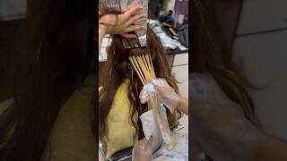 Beautiful Hair Highlights hair haircolor youtubeshorts shorts trending viralvideo [upl. by Esilanna]