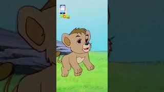 Simba Ko Bhi Udna Hai  Simba The Lion King EP 11  Hindi Cartoon For Kids  Wow Kidz  OTM [upl. by Cannon]