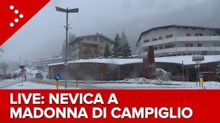 LIVE Nevicata in corso a Madonna di Campiglio diretta video [upl. by Aciras832]