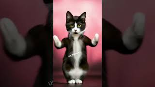 Furry Mischief Hilarious and Cute Cat Moments 😂🐾 FunnyCats CatShorts [upl. by Suivart]