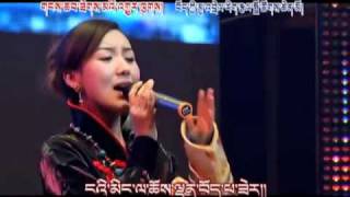 New Tibetan Song Tibetan soul  spirit Tsewang Lhamo [upl. by Resneps156]