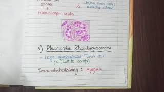 Rhabdomyosarcoma Pathology [upl. by Ramiah]